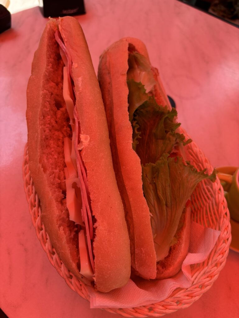 img 8549