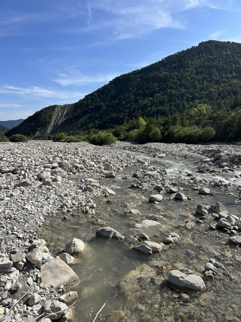 img 9082